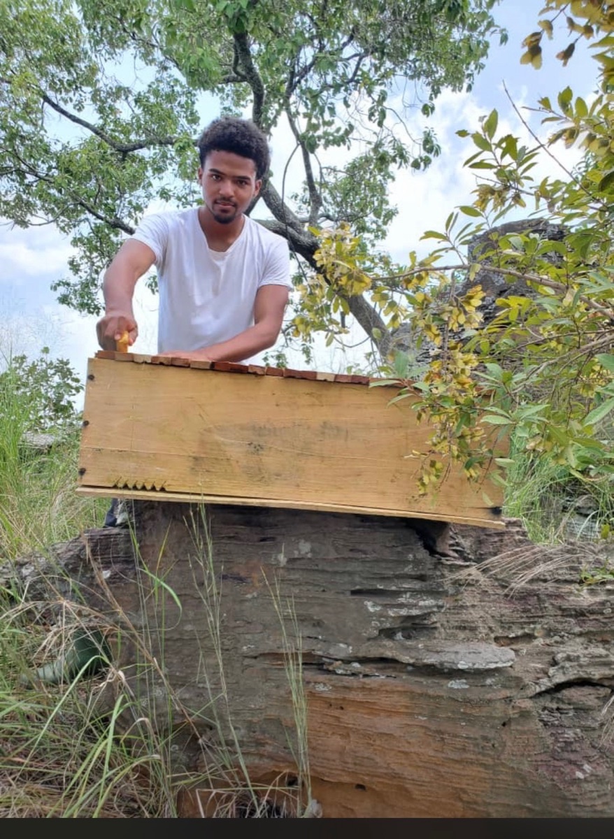 Kwame lifting the lid of a top-bar hive set on a rock outcrop